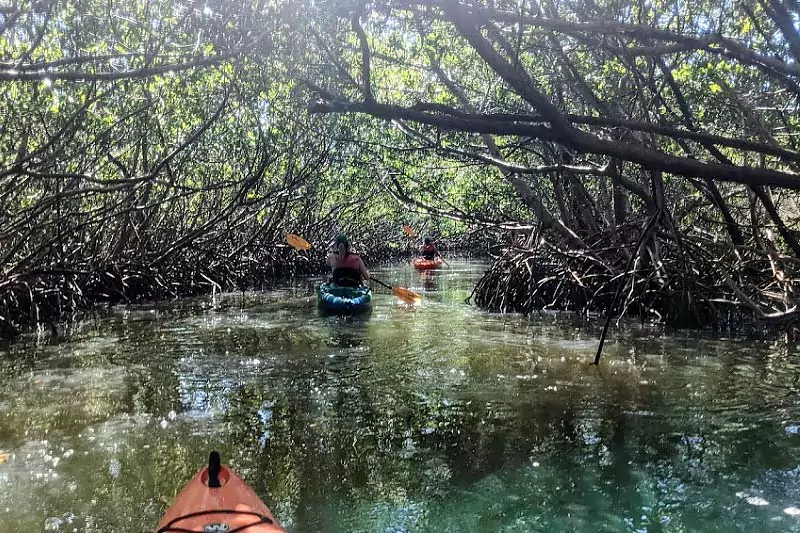 Caladesi Island Kayaking Trail